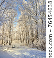 Beautiful winter park, trees in hoarfrost, sunset 76454638