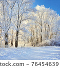 Beautiful winter park, trees in hoarfrost, sunset 76454639