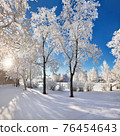 Beautiful trees in hoarfrost, winter day 76454643