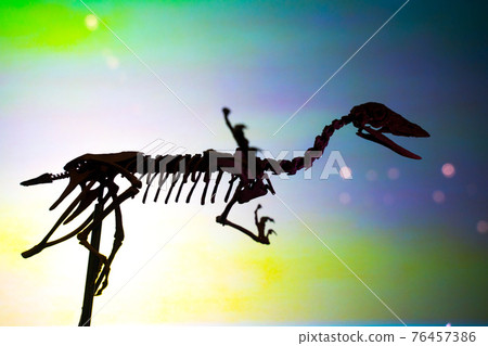 在背光下發光的恐龍骨架輪廓 在背光下發光的恐龍骨架輪廓 76457386