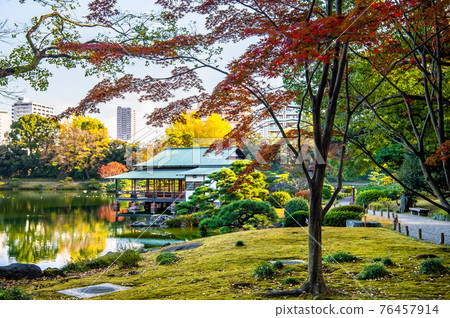 秋色的清澄花園,東京 秋色的清澄花園,東京 76457914