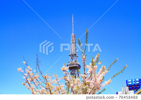 名古屋市、電視塔和櫻花風景 76458488