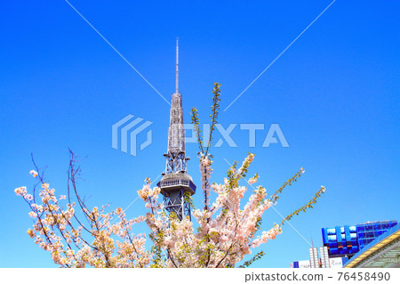 Nagoya city, TV tower and cherry blossom scenery Nagoya city, TV tower and cherry blossom scenery 76458490
