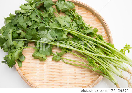 香菜香菜 76459873