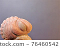 Paleozoic eyes Red trilobite 76460542