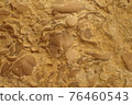Visby fossils 76460543