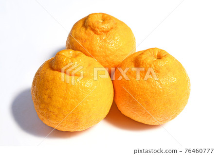 Citrus (Sanbokan) Citrus (Sanbokan) 76460777