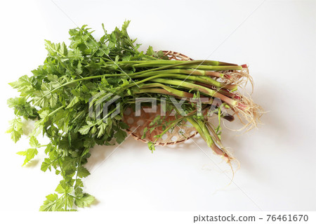 拍賣白色背景 76461670