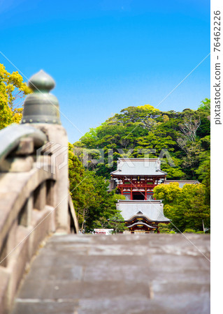 從太古橋看鶴岡八幡宮(鎌倉市雪下市) 從太古橋看鶴岡八幡宮(鎌倉市雪下市) 76462226