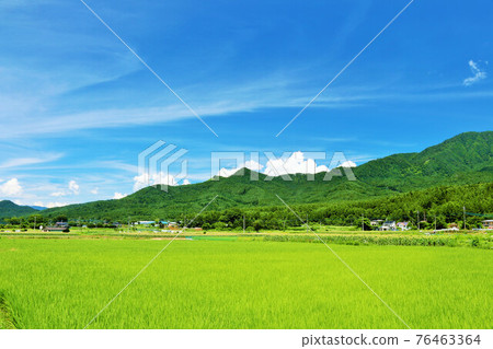 Summer blue sky and fresh green countryside scenery Summer blue sky and fresh green countryside scenery 76463364