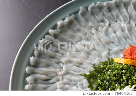 Blowfish Blowfish 76464163