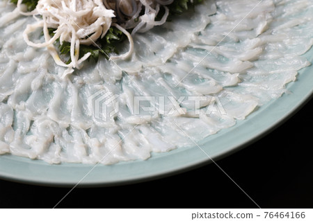 Blowfish Blowfish 76464166