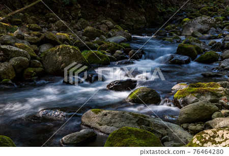Beautiful water flowing in the clear stream Kikuchi Gorge, fresh green and moss scenery Beautiful water flowing in the clear stream Kikuchi Gorge, fresh green and moss scenery 76464280