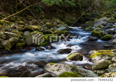 Beautiful water flowing in the clear stream Kikuchi Gorge, fresh green and moss scenery 76464282