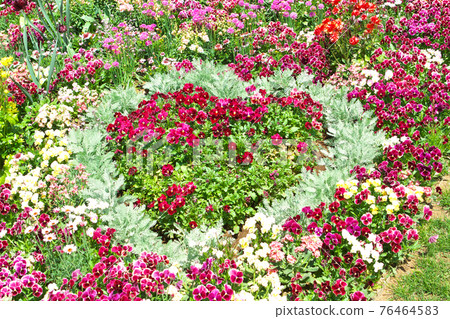 以心形盛開的花田 76464583