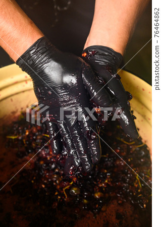Grape juice squeezed by hand at home, wine production at home, squeezing the juice by hand. 76464862