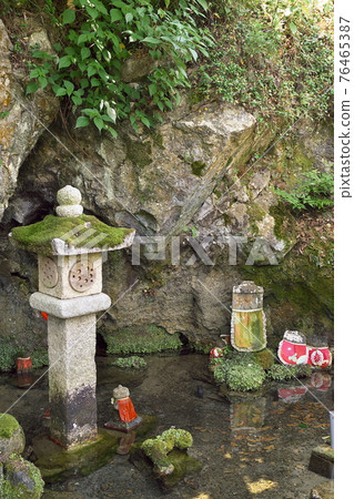 Saikousui Samegai Shiga 76465387