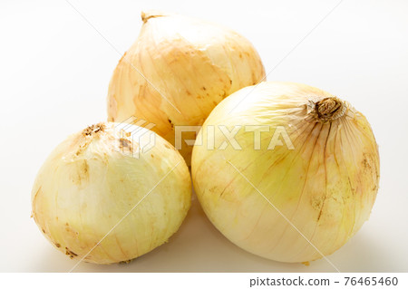New onion. (White background) New onion. (White background) 76465460