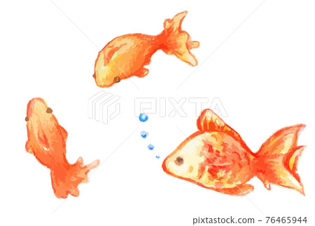 Cute watercolor goldfish illustration set - Stock Illustration ...