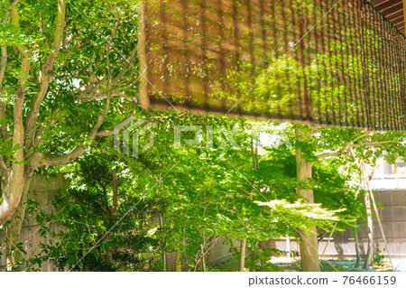 京都市東山區Kenninji寺廟·靈性醫院拍下甜蜜的花園 76466159