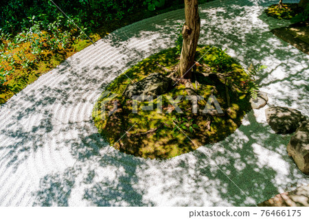 京都市東山區Kenninji寺廟·靈性醫院拍下甜蜜的花園 76466175