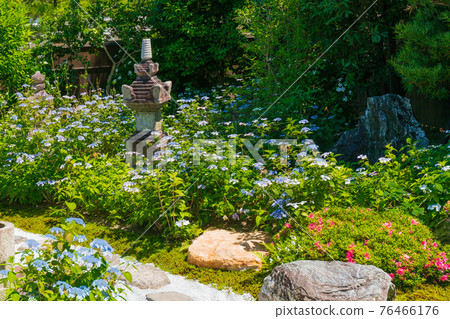 京都市東山區Kenninji寺廟·靈性醫院拍下甜蜜的花園 76466176