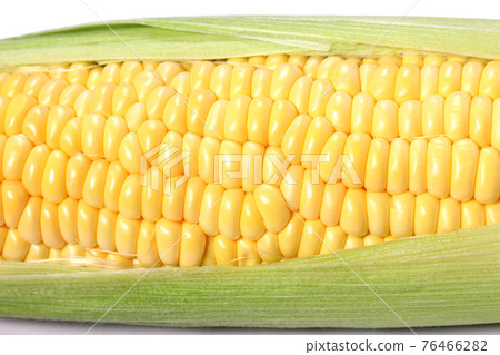 Corn close-up Corn close-up 76466282