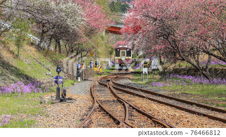 Spring Watarase Valley Railway Spring Watarase Valley Railway 76466812