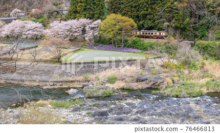 Spring Watarase Valley Railway 76466813