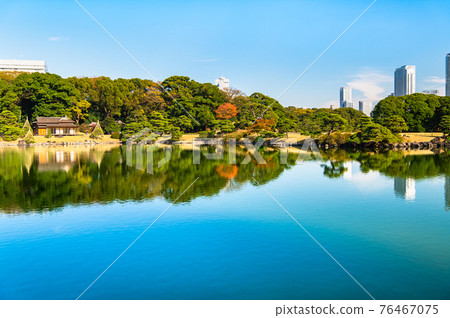 Hamarikyu Gardens, Tokyo 76467075
