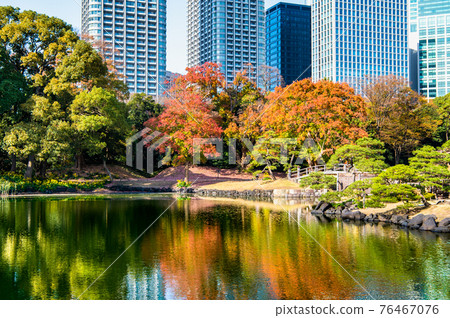 Hamarikyu Gardens, Tokyo 76467076