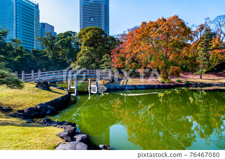 秋色的濱離宮花園,東京 秋色的濱離宮花園,東京 76467080
