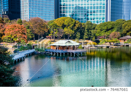 東京濱離宮花園 東京濱離宮花園 76467081