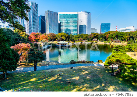 東京濱離宮花園 76467082