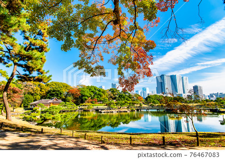 Hamarikyu Gardens in autumn colors, Tokyo Hamarikyu Gardens in autumn colors, Tokyo 76467083