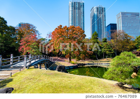 Hamarikyu Gardens in autumn colors, Tokyo Hamarikyu Gardens in autumn colors, Tokyo 76467089