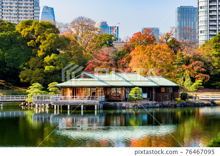 秋色的濱離宮花園，東京 76467095