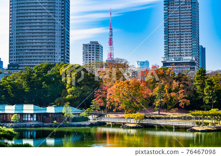 Hamarikyu Gardens in autumn colors, Tokyo 76467098