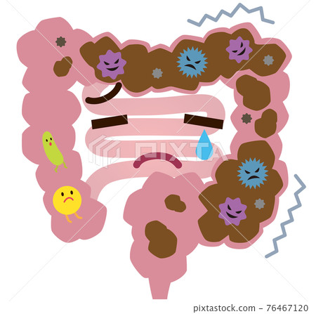 Constipation large intestine intestinal environment bad bacteria 76467120