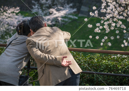 [A couple snuggling up to enjoy Yoshino cherry blossoms in Chidorigafuchi] 76469718