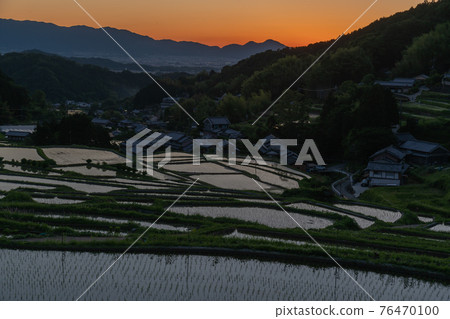 拍攝奈良縣明日香村細川的晚稻田 拍攝奈良縣明日香村細川的晚稻田 76470100
