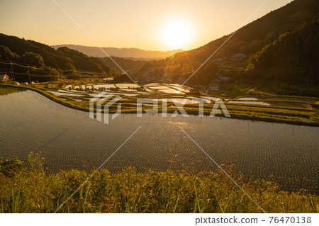 拍攝奈良縣明日香村細川的晚稻田 拍攝奈良縣明日香村細川的晚稻田 76470138
