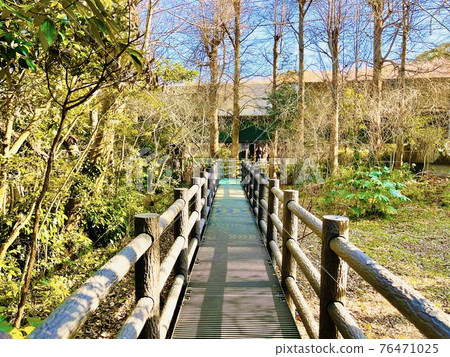 神奈川縣三浦市小松池公園 76471025