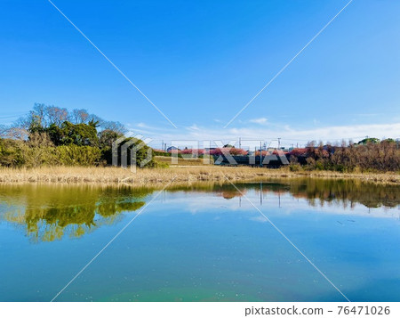 神奈川縣三浦市小松池公園 神奈川縣三浦市小松池公園 76471026