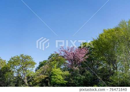 Rural area Spring arrival 76471840