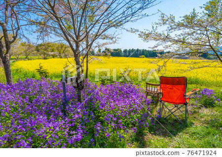 Relax in the spring flower garden Relax in the spring flower garden 76471924