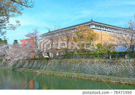 [Kyoto Prefecture] Okazaki Sakura Corridor under sunny weather and Kyoto City Museum of Art 76471990