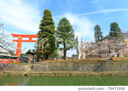 [Kyoto] Okazaki Sakura Corridor and Heian Jingu Otorii under sunny weather 76471998