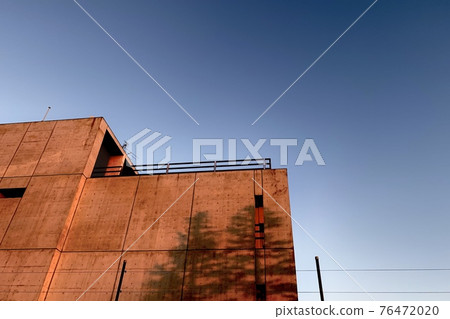 The shadow of the west sun The tree drawn on the wall 76472020