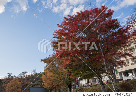 櫪木縣日光市中禪寺湖的藍天和秋葉 櫪木縣日光市中禪寺湖的藍天和秋葉 76472034